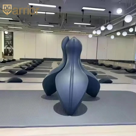Yoga Fitness Commercial Arc Barrel Pilates Dolphin Pilates Spine Corrector