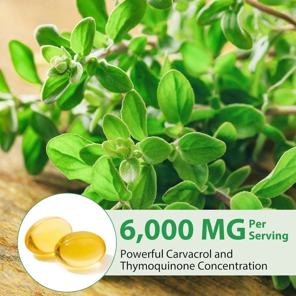 Fast OEM GMP Factory 300 Capsules Premium Oil of Oregano Supplements with 6000mg Black Seed Oil of Oregano Capsules