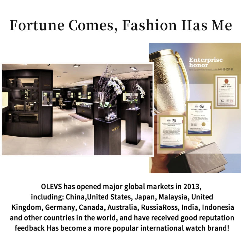 OLEVS 6706 Mechanical Watch for Women Luxury Waterproof Fashion Elegant Diamond  Automatic Ladies Watches