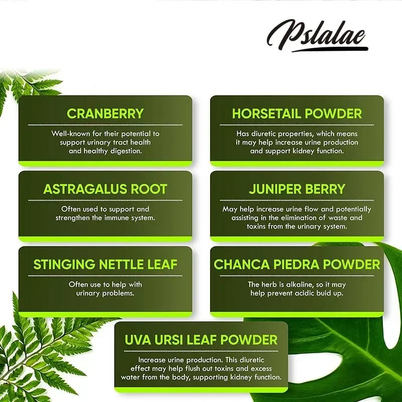 Kidney Health and Bladder Support - Boosts Energy,Supports The Immune System,Cleanses The Kidneys & Bladder - 120 Capsules ﻿
