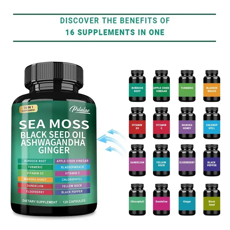 Sea Moss Supplement - for Intestinal Health, Improve Immunity, Detox, Anti-aging, Antioxidant