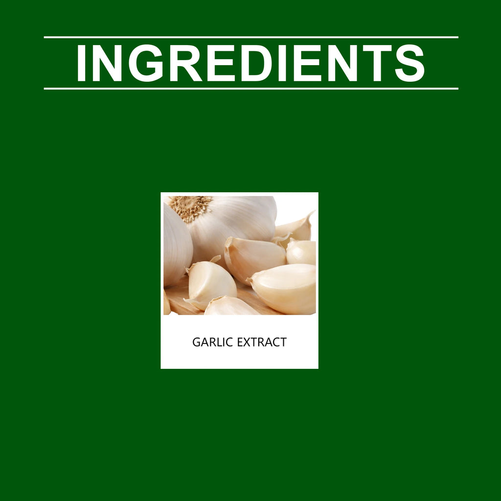 Odourless Garlic Extract Softgels 5000mg – Immune Boost & Heart Health Support – Fast-Acting Formula, 60 Tasteless Softgels