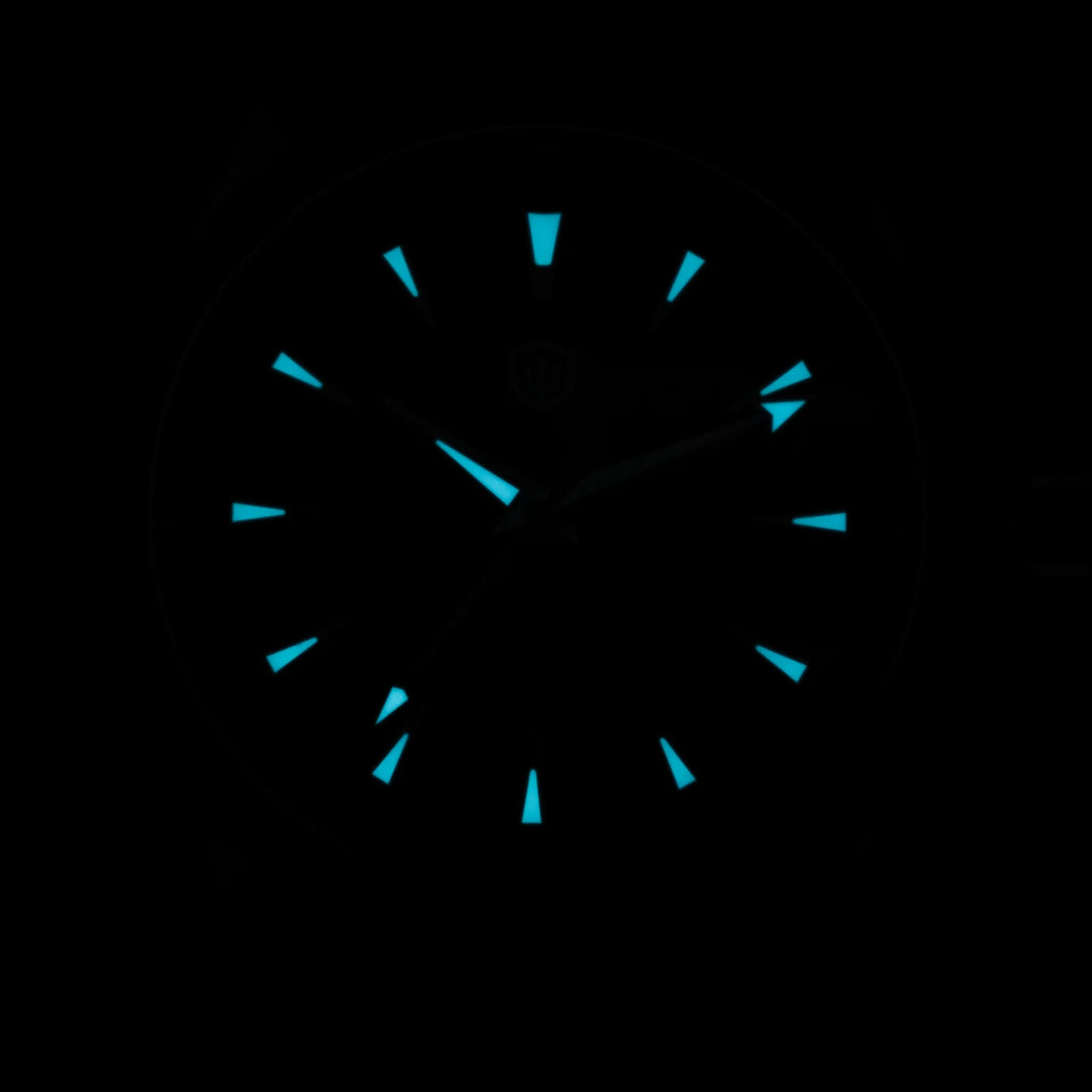 Watchdives WD0006 Watch VH31 Sweep Second Movement Domed Sapphire Crystal BGW9 Luminous 10Bar Waterproof 38mm Vintage Watches