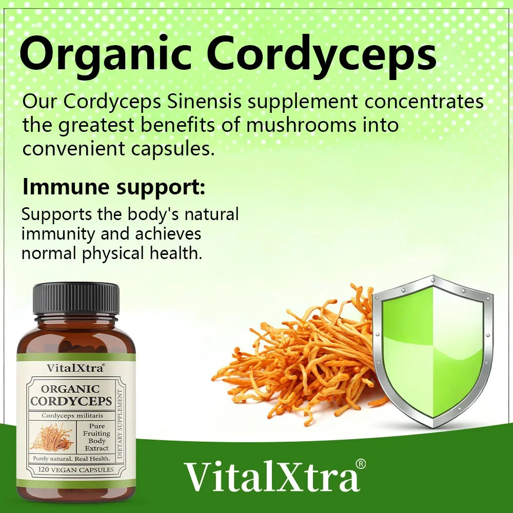 1000mg Organic Cordyceps Sinensis Extract, Sports Nutrition Supplement, Enhances Energy, Endurance, and Immunity, 120 Capsules