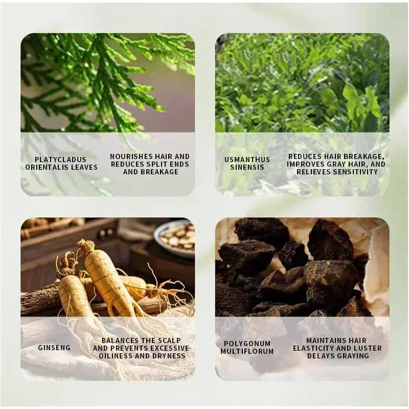 Arborvitae Leaf Shampoo Soap Strongly Fight Dandruff Strengthen Hair Root Effective Oil Control Prevent Hair Loss Solid Shampoo