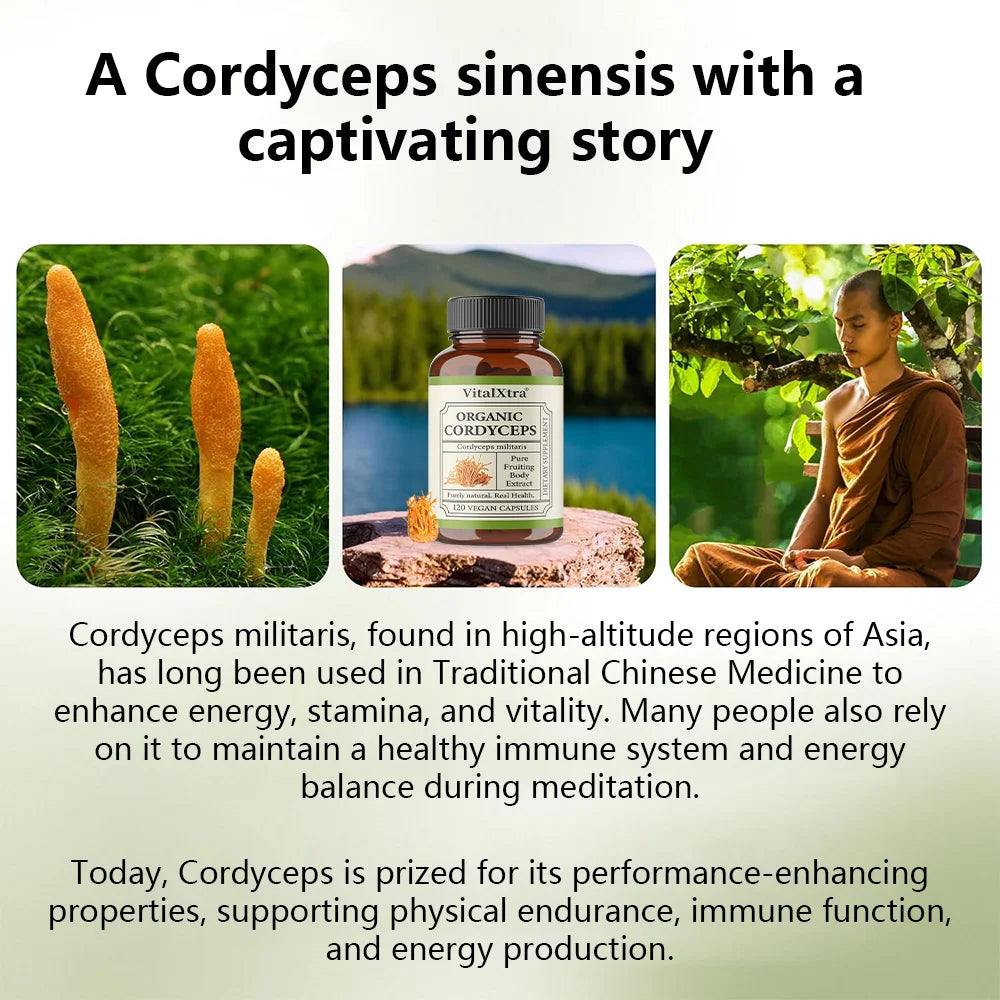 1000mg Organic Cordyceps Sinensis Extract, Sports Nutrition Supplement, Enhances Energy, Endurance, and Immunity, 120 Capsules