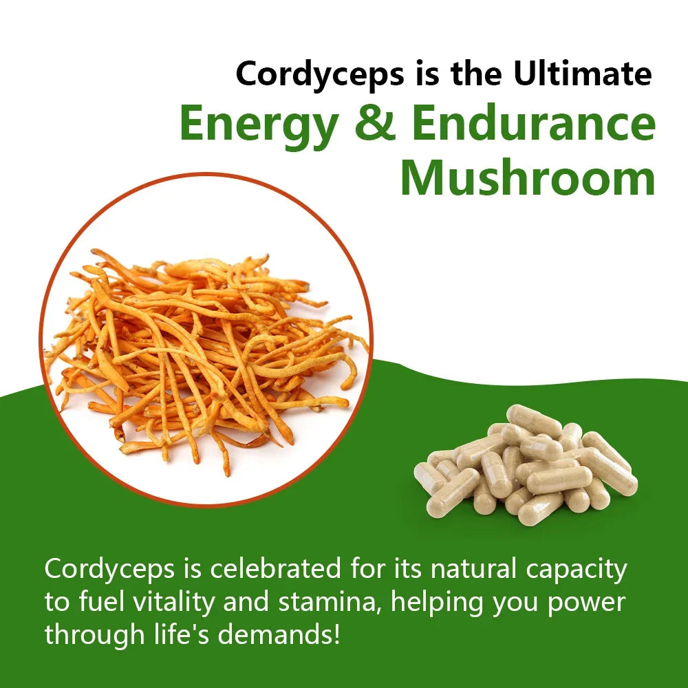 1000mg Organic Cordyceps Sinensis Extract, Sports Nutrition Supplement, Enhances Energy, Endurance, and Immunity, 120 Capsules