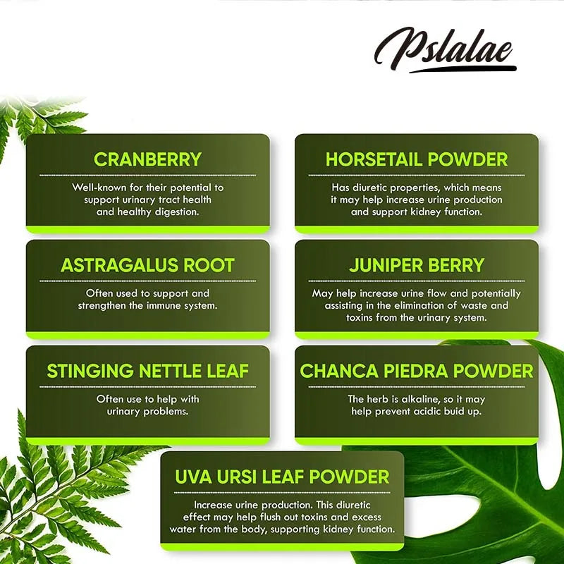 Kidney Health and Bladder Support - Boosts Energy,Supports The Immune System,Cleanses The Kidneys & Bladder - 120 Capsules ﻿