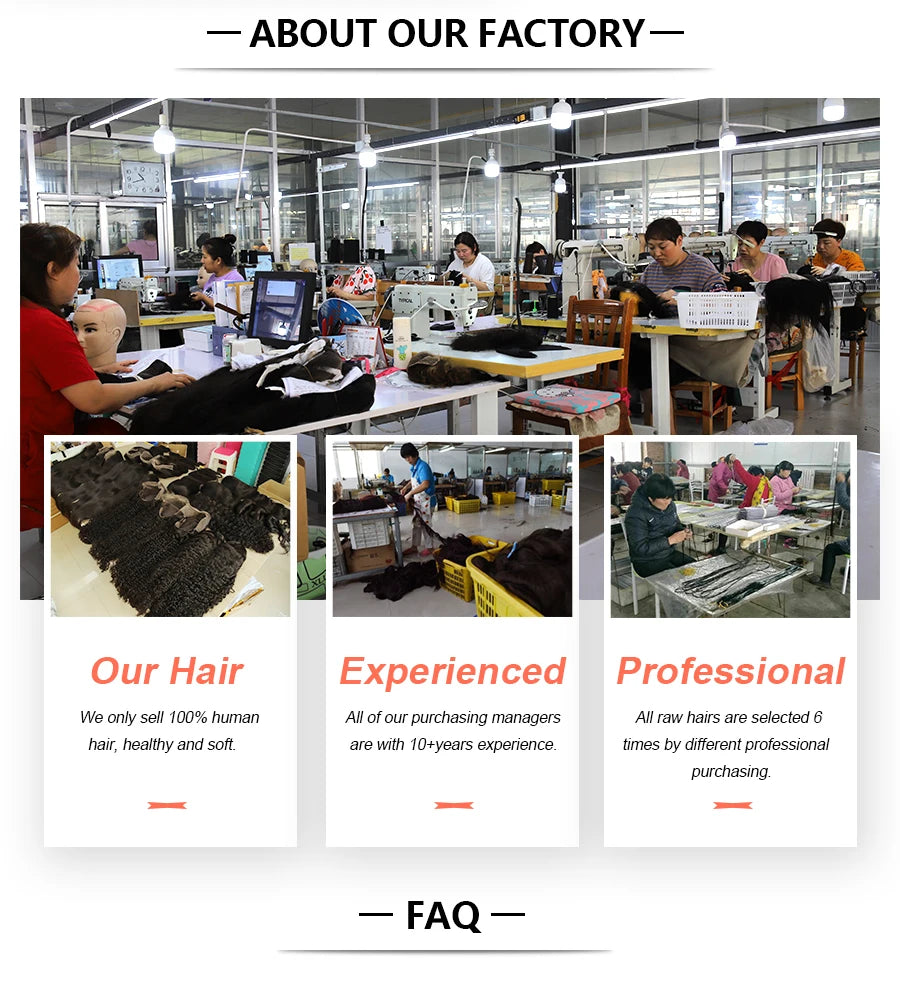 Crochet Human Hair Burmese Curly Pre-Separated Crochet Hair Extensions Knotless 100% Human Hair Full Head Curly Wigs Remy Hair