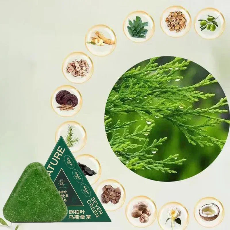 Arborvitae Leaf Shampoo Soap Strongly Fight Dandruff Strengthen Hair Root Effective Oil Control Prevent Hair Loss Solid Shampoo