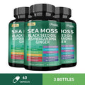 Sea Moss Supplement - for Intestinal Health, Improve Immunity, Detox, Anti-aging, Antioxidant